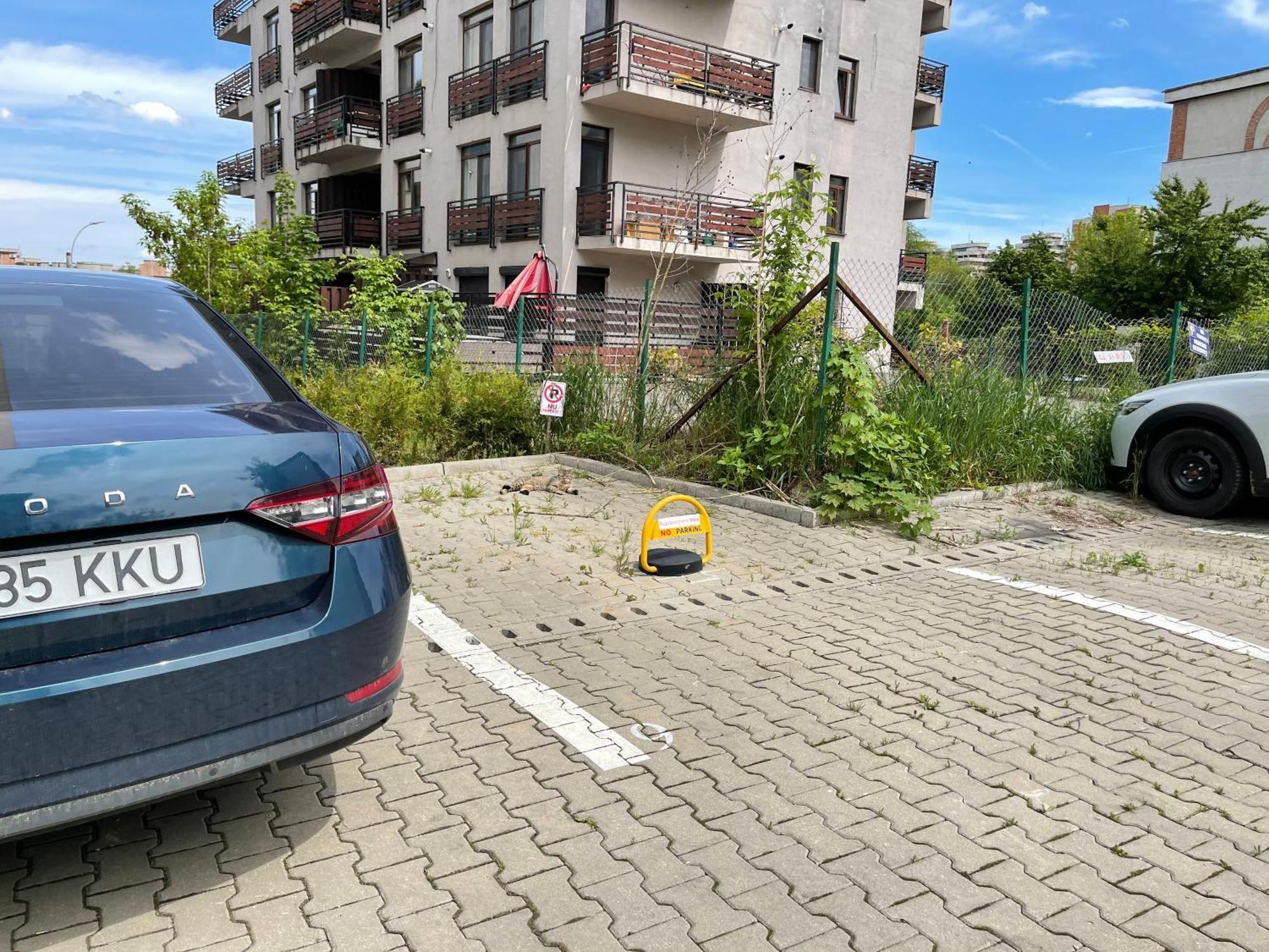 Relax Cluj Apartment And Terrace ภายนอก รูปภาพ